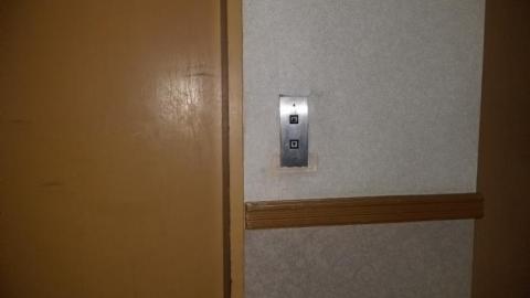 The rest. Before it's gone. - 20200406_172643.jpg