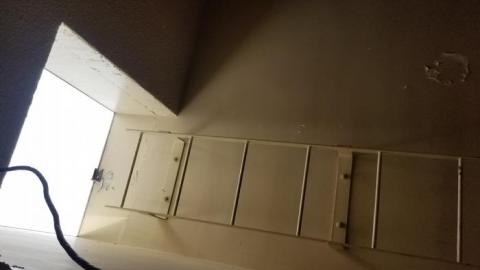 The rest. Before it's gone. - 20200406_173243.jpg