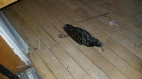 Still chillin  - 20200406_162804.jpg