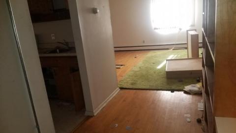 Still chillin  - 20200406_162751.jpg