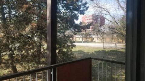 Still chillin  - 20200406_162701.jpg