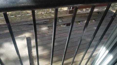 Still chillin  - 20200406_162657.jpg