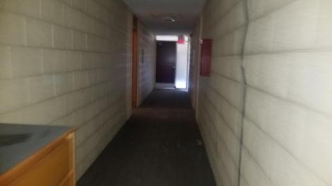 Still chillin  - 20200406_162623.jpg