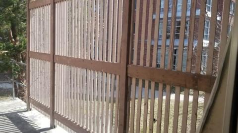 Still chillin  - 20200406_162534.jpg