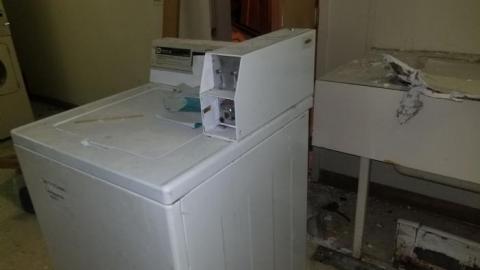 Still chillin  - 20200406_162420.jpg