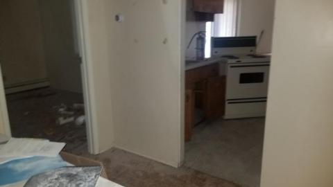 Still chillin  - 20200406_162304.jpg