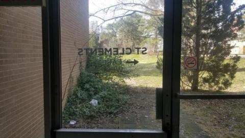 Still chillin  - 20200406_162244.jpg