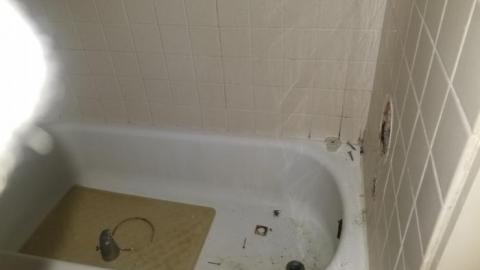 Still chillin  - 20200406_163102.jpg