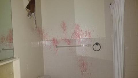 Still chillin  - 20200406_163057.jpg