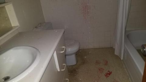 Still chillin  - 20200406_163053.jpg