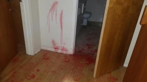 Still chillin  - 20200406_163048.jpg