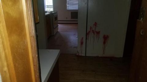 Still chillin  - 20200406_163038.jpg