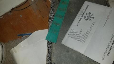 Still chillin  - 20200406_162944.jpg