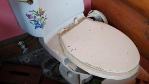 Abused Log Mansion '19 RIP - The-Log-Mansion83.jpg