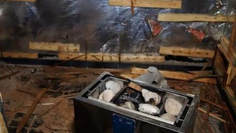 Abused Log Mansion '19 RIP - The-Log-Mansion65.jpg