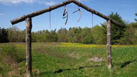 Abused Log Mansion '19 RIP - The-Log-Mansion72.jpg