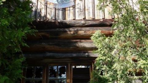 Abused Log Mansion '19 RIP - The-Log-Mansion76.jpg