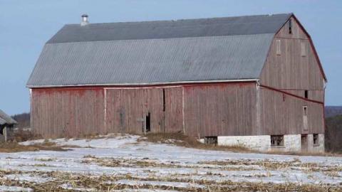 Old Beeton farm - Farm-Beeton15.jpg