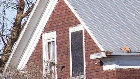 Old Beeton farm - Farm-Beeton12.jpg