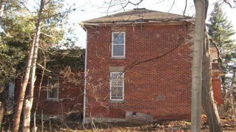 Mt Wolfe - Mt-Wolfe-Farm140.jpg