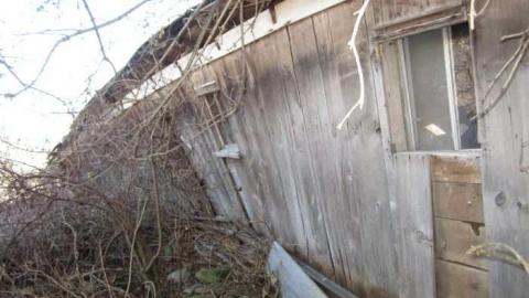 Mt Wolfe - Mt-Wolfe-Farm32.jpg