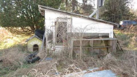 Mt Wolfe - Mt-Wolfe-Farm21.jpg