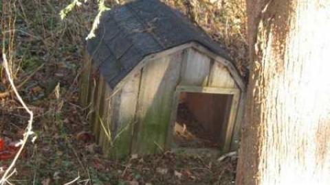 Mt Wolfe - Mt-Wolfe-Farm33.jpg