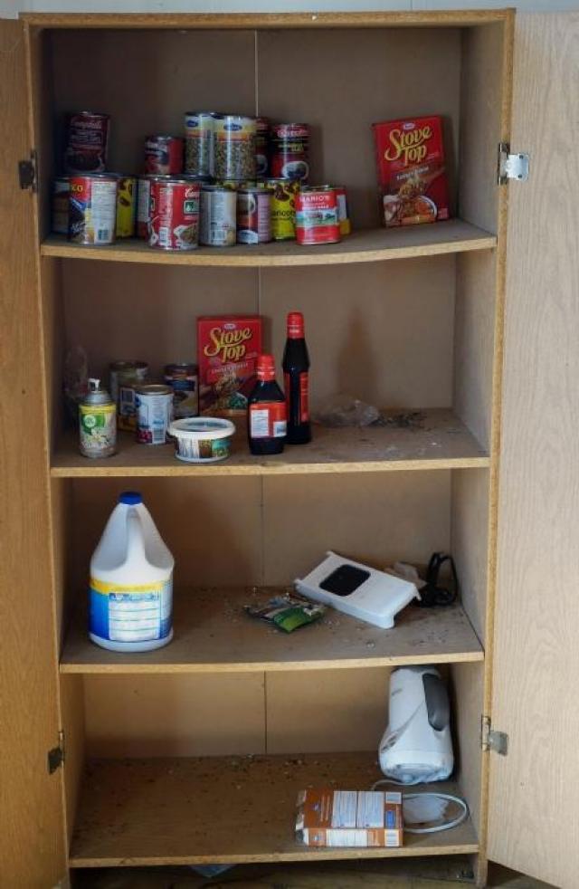 Satin Was Here & Caused Anarchy photo 5