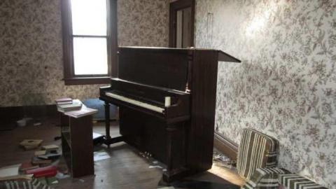 Mt Wolfe - Mt-Wolfe-Farm35.jpg