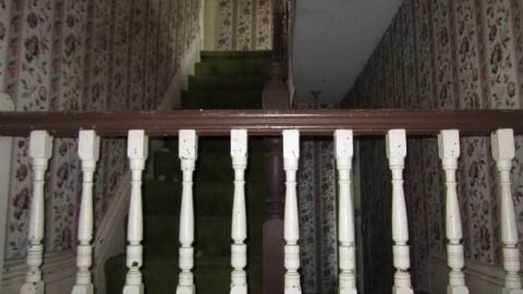 Mt Wolfe - Mt-Wolfe-Farm24.jpg