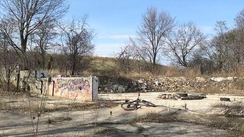 april 2020 a sad sight - 1470-Bronte-Road80.jpg