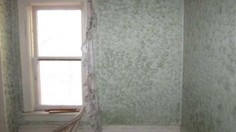 Mt Wolfe - Mt-Wolfe-Farm36.jpg