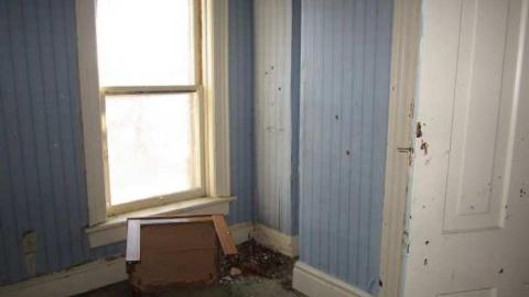 Mt Wolfe - Mt-Wolfe-Farm27.jpg