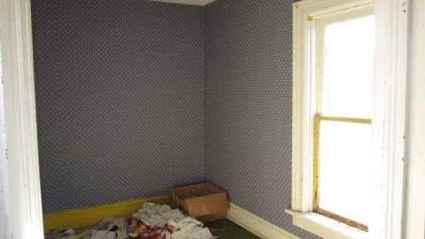 Mt Wolfe - Mt-Wolfe-Farm37.jpg