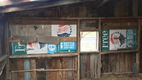 april 2020 - IMG_5020.jpg