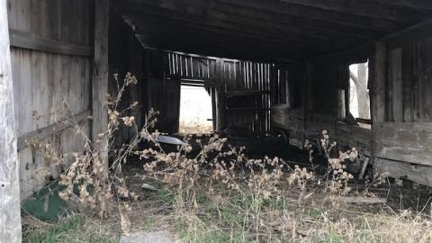 april 2020 - IMG_5018.jpg