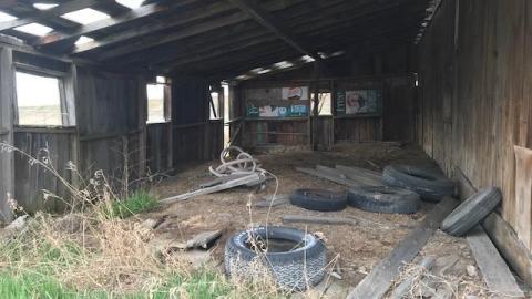 april 2020 - IMG_5017.jpg