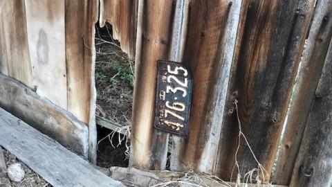 april 2020 - IMG_5016.jpg