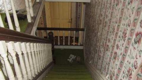 Mt Wolfe - Mt-Wolfe-Farm29.jpg