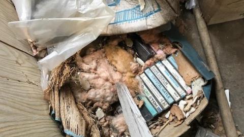 big trailer - living-in-trailers-but-life-a-movie25.jpg