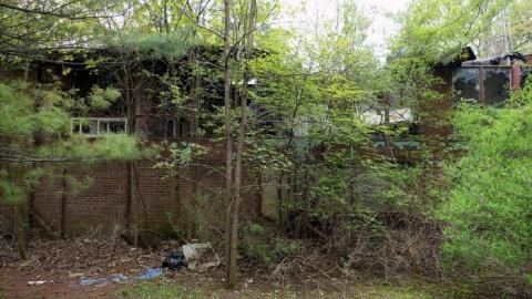 Industrial Feel '19 - Why-You-Only-Call-Me-When-Youre-High22.jpg