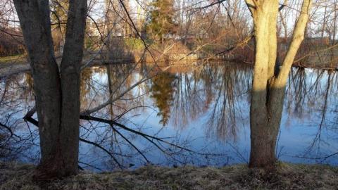 Three Visits '19 - Martin-Weiche-Nazi-House--London-Ontario65.jpg