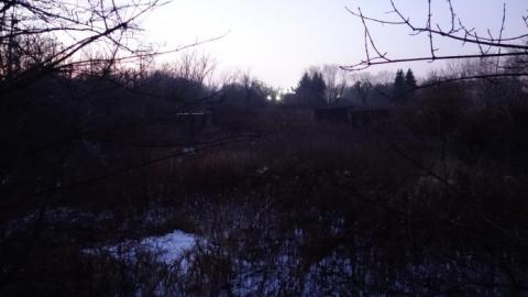 Standing Strong - Long-Branch-Arsenal-Lands150.jpg