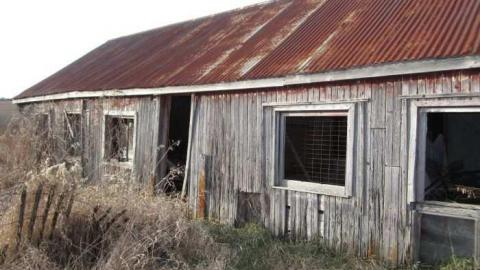 Nov Visit - Outside - House 4 (49).jpg