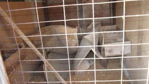 Nov Visit - Outside - House 4 (53).jpg