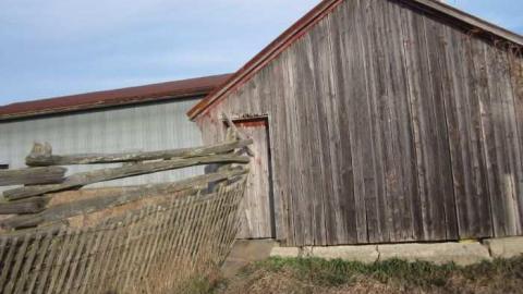 Nov Visit - Outside - House 4 (52).jpg