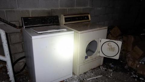 Stealership - DSC08403.jpg