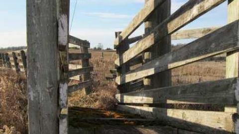 Nov Visit - Outside - House 4 (64).jpg