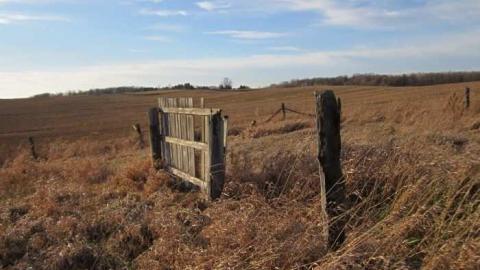 Nov Visit - Outside - House 4 (67).jpg