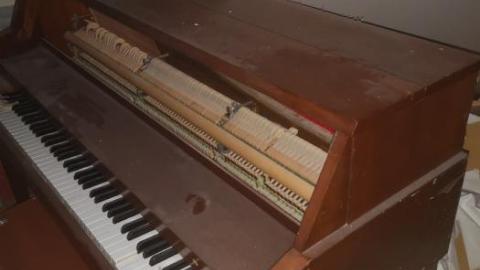 Summer 2018 - IMG_20180829_200034.jpg